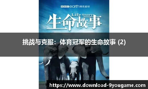 九游娱乐